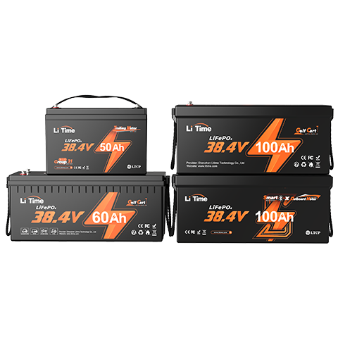 36V Batterie LiFePO4