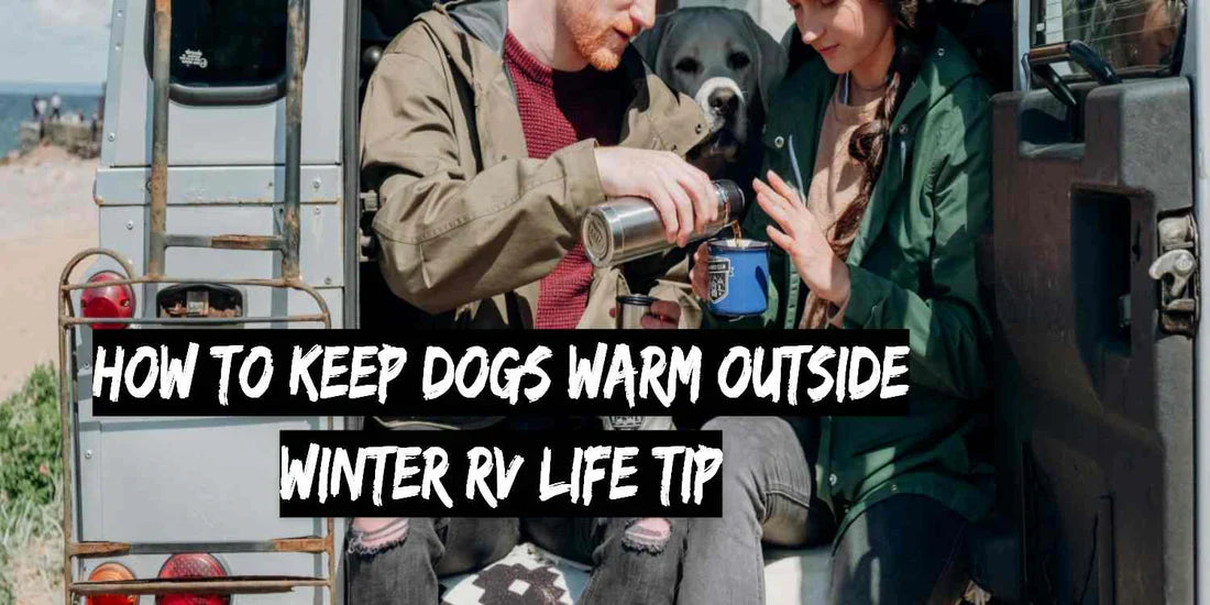 Come tenere i cani al caldo all'esterno - Suggerimento per la vita in camper in inverno