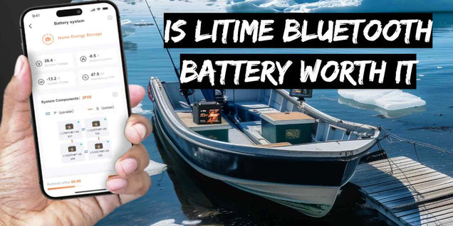 [Panoramica completa] La batteria al litio Bluetooth LiTime vale la pena?