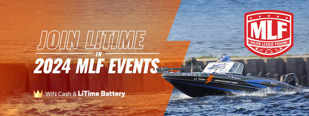 Risparmia con le Offerte di Lancio su Batterie LiFePO4 12V e 24V: IVA Esente e Sconto dell'8%