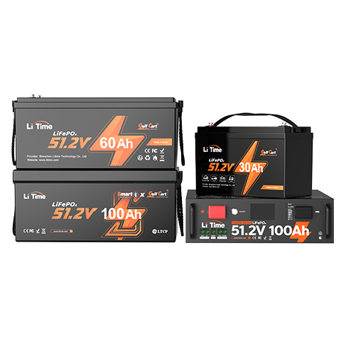 48V Batterie LiFePO4