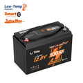 LiTime 12V 100Ah LiFePO4 Smart Batteria Nautica per Motore Elettrico Fuoribordo per Pesca a Traina