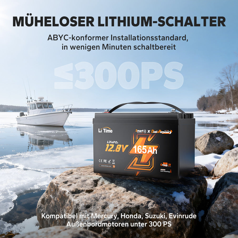LiTime Batteria LiFePO4 12V 165Ah a doppio uso con 1200 CCA e autoscaldamento per camper e applicazioni marine