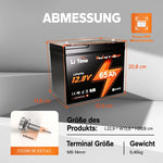 LiTime Batteria LiFePO4 12V 65Ah Group 22NF - Ciclo Profondo per Sedie a Rotelle Mediche e Veicoli per Disabili