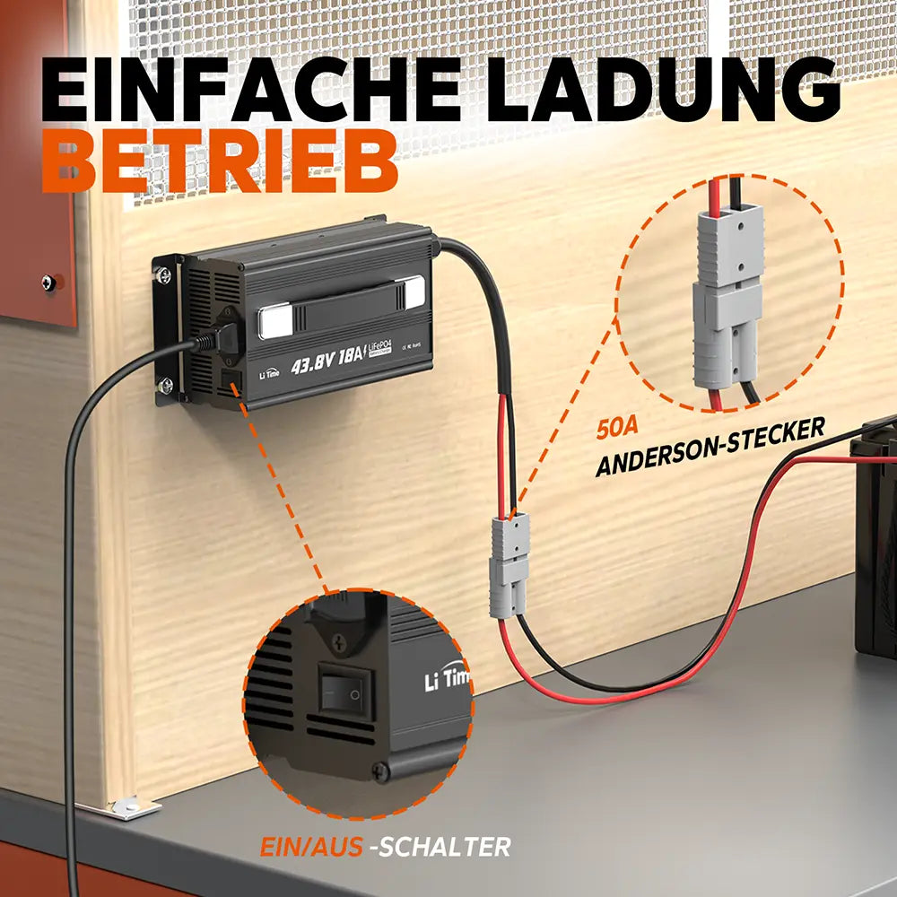 Caricabatterie 36 volt: ricarica semplice con interruttore ON/OFF e connettore Anderson 50A per collegamento rapido