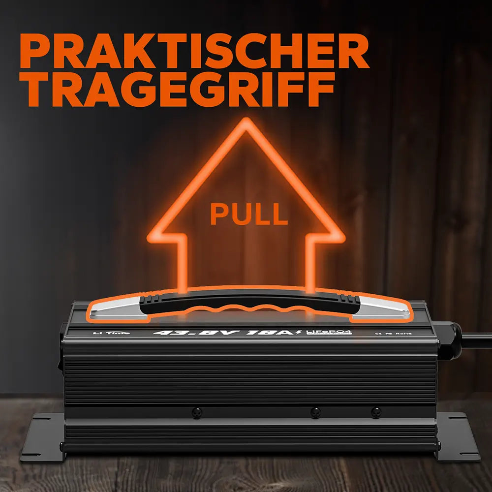 LiTime 36V 18A Caricabatterie al Litio