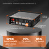 LiTime 51.2V 100Ah Batteria LiFePO4 Solarbatterie Smart ComFlex 5,12kWh Rack 3U con BMS