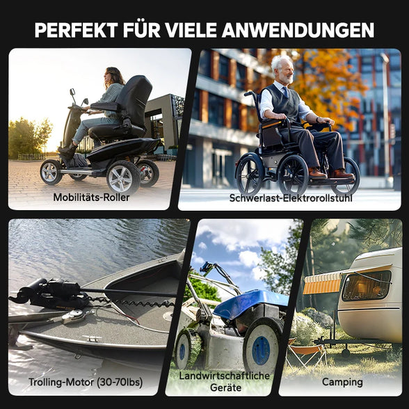 LiTime Batteria LiFePO4 12V 65Ah Group 22NF - Ciclo Profondo per Sedie a Rotelle Mediche e Veicoli per Disabili