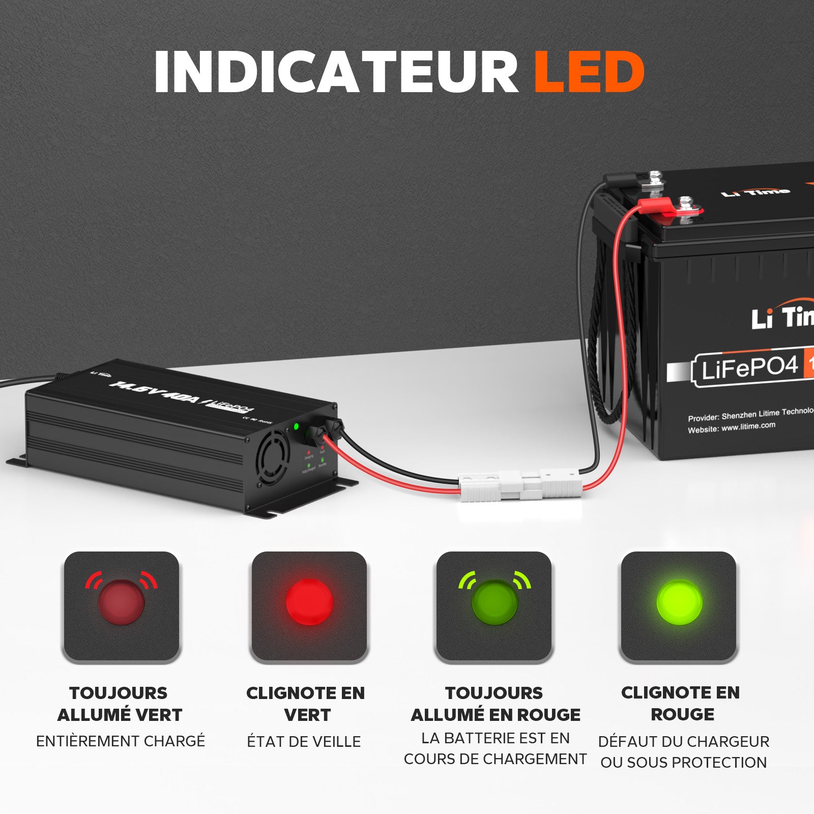 LiTime Caricabatterie Litio 12V 40A per Batterie LiFePO4