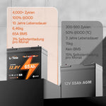 LiTime Batteria LiFePO4 12V 65Ah Group 22NF - Ciclo Profondo per Sedie a Rotelle Mediche e Veicoli per Disabili