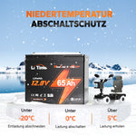 LiTime Batteria LiFePO4 12V 65Ah Group 22NF - Ciclo Profondo per Sedie a Rotelle Mediche e Veicoli per Disabili