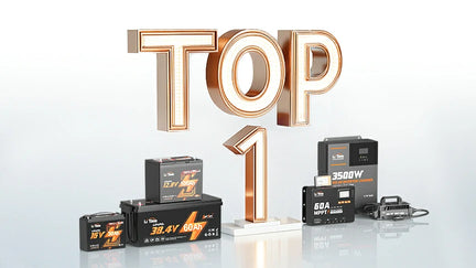 TOP 1 Marca LiFePO4