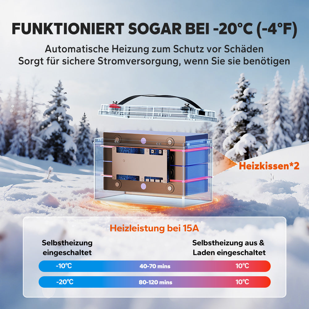 LiTime Batteria LiFePO4 12V 165Ah a doppio uso con 1200 CCA e autoscaldamento per camper e applicazioni marine