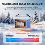 LiTime Batteria LiFePO4 12V 165Ah a doppio uso con 1200 CCA e autoscaldamento per camper e applicazioni marine