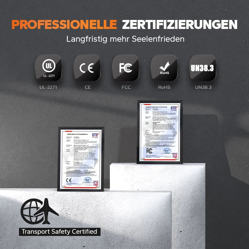 LiTime Batteria LiFePO4 12V 65Ah Group 22NF - Ciclo Profondo per Sedie a Rotelle Mediche e Veicoli per Disabili