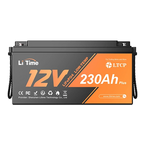 LiTime 12V 230Ah Plus LiFePO4 BMS 200A Prot. Bassa Temp.