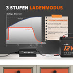 LiTime Caricabatterie 12V (14,6V) 10A per Batterie LiFePO4 - LiTimeFR/IT/ES