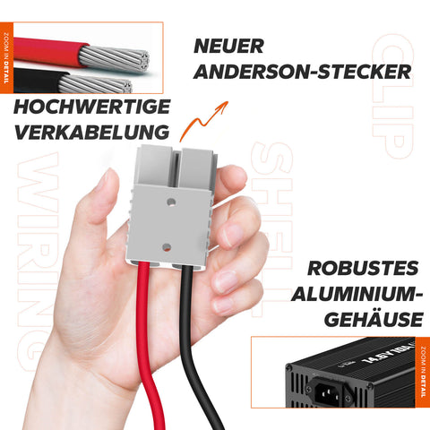 LiTime Chargeur 12V (14,6V) 10A pour Batteries LiFePO4