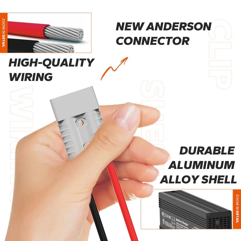 LiTime Caricabatterie al Litio LiFePO4 da 12V (14.6V) 20A - LiTimeFR/IT/ES
