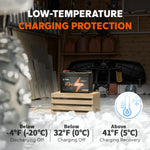 LiTime 12V 100Ah motore elettrico per barca Batteria  Marino protezione di carica a bassa temperatura