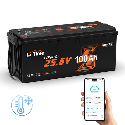 Batteria LiTime 24V 100Ah con monitoraggio Bluetooth