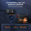 LiTime Caricabatterie LiFePO4 24 V (29,2 V) 20 A Impermeabile e Montabile