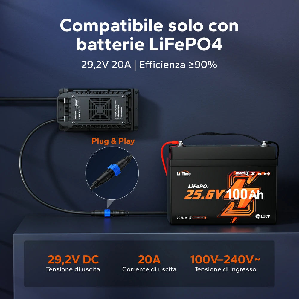 LiTime Caricabatterie LiFePO4 24 V (29,2 V) 20 A Impermeabile e Montabile