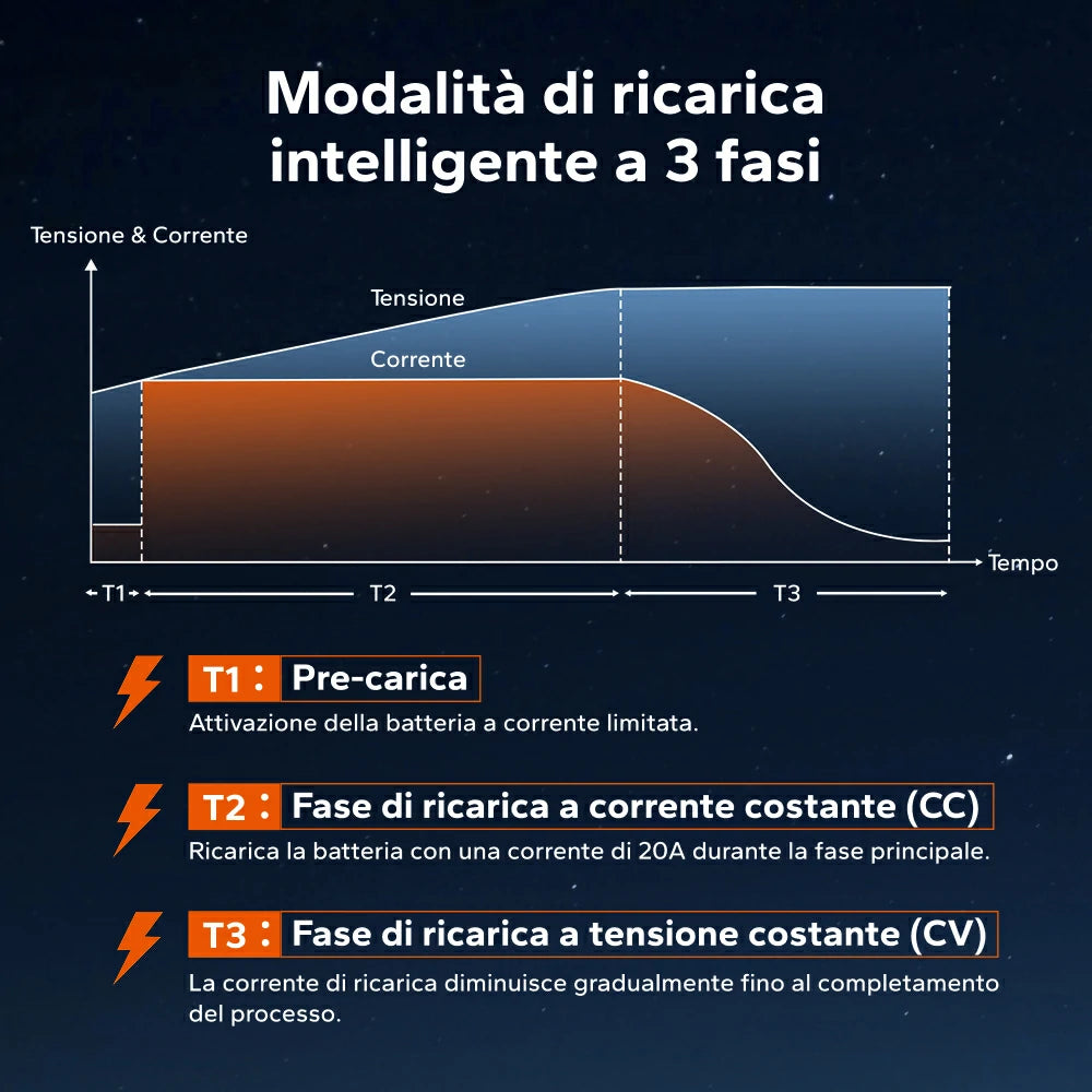 LiTime Caricabatterie LiFePO4 24 V (29,2 V) 20 A Impermeabile e Montabile